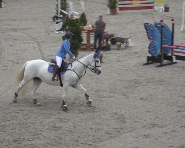 Reitturnier Monheim - Gut Blee 2023
