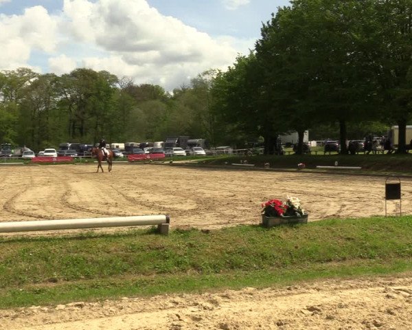 Reitturnier Dinslaken-Hiesfeld 2023