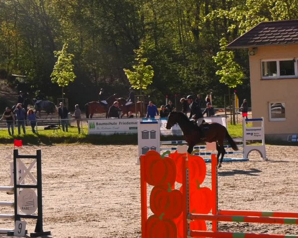 Reitturnier Lgl.-Oberhain, B95 2023