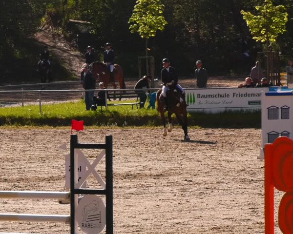 Reitturnier Lgl.-Oberhain, B95 2023
