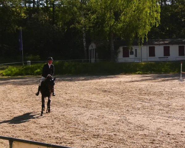 Reitturnier Lgl.-Oberhain, B95 2023