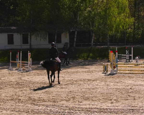 Reitturnier Lgl.-Oberhain, B95 2023