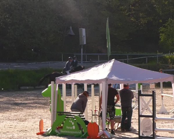 Reitturnier Lgl.-Oberhain, B95 2023