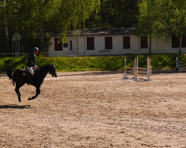 Reitturnier Lgl.-Oberhain, B95 2023