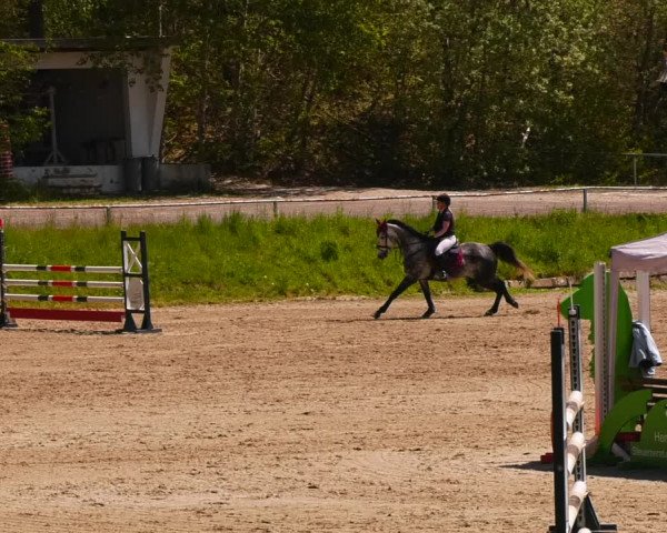 Reitturnier Lgl.-Oberhain, B95 2023