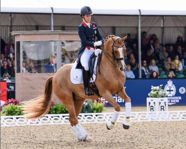 Charlotte Dujardin