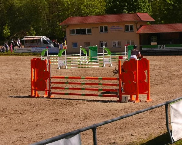 Reitturnier Lgl.-Oberhain, B95 2023