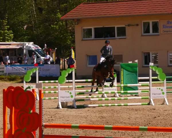 Reitturnier Lgl.-Oberhain, B95 2023