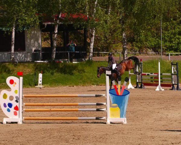 Reitturnier Lgl.-Oberhain, B95 2023