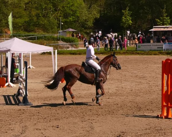 Reitturnier Lgl.-Oberhain, B95 2023