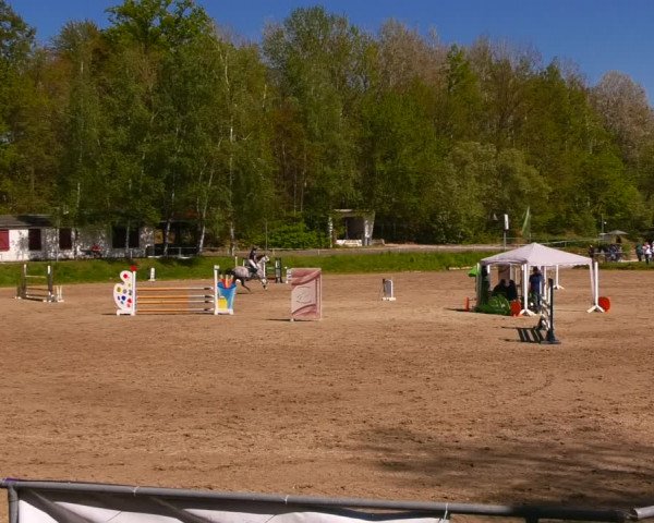 Reitturnier Lgl.-Oberhain, B95 2023