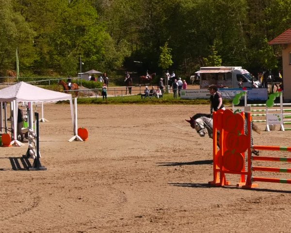 Reitturnier Lgl.-Oberhain, B95 2023