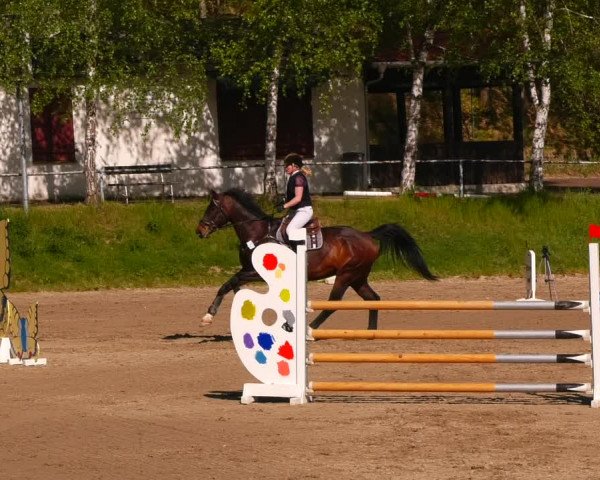 Reitturnier Lgl.-Oberhain, B95 2023