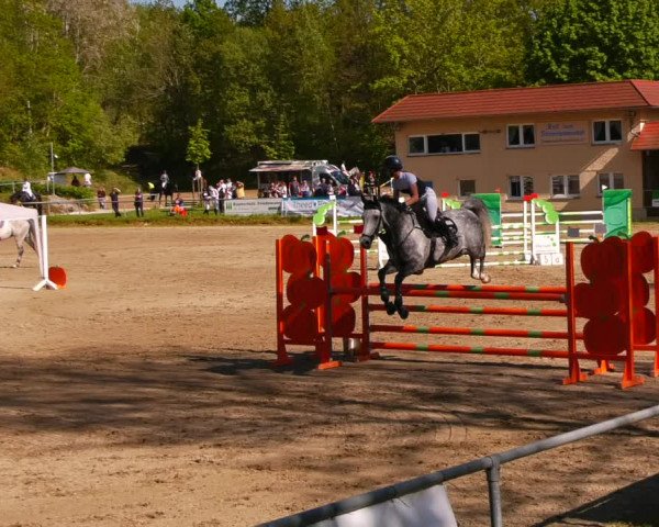 Reitturnier Lgl.-Oberhain, B95 2023