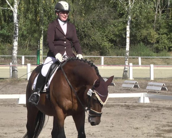 Reitturnier Forst 2021
