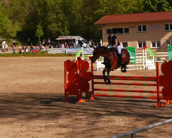 Reitturnier Lgl.-Oberhain, B95 2023