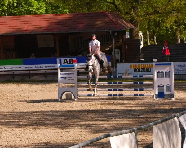 Reitturnier Lgl.-Oberhain, B95 2023