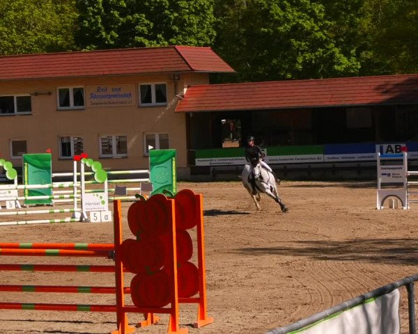Reitturnier Lgl.-Oberhain, B95 2023