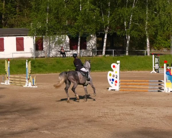Reitturnier Lgl.-Oberhain, B95 2023