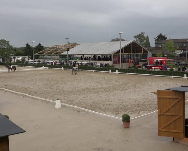 Reitturnier Bornheim Widdig 2023