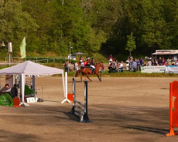 Reitturnier Lgl.-Oberhain, B95 2023