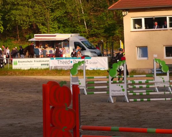 Reitturnier Lgl.-Oberhain, B95 2023