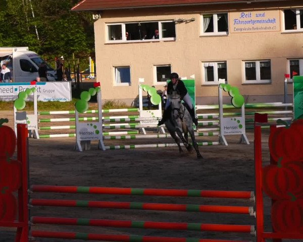 Reitturnier Lgl.-Oberhain, B95 2023
