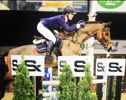 jumper Lord Lucie 3 (German Sport Horse, 2008, from Lordanos)