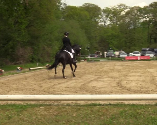 Reitturnier Dinslaken-Hiesfeld 2023
