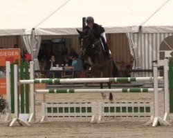 jumper Djanna 7 (Westphalian, 2017, from Diamant de Landor)