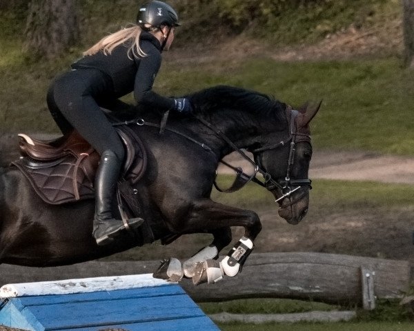 broodmare Fast Princess xx (Thoroughbred, 2016, from Contat xx)