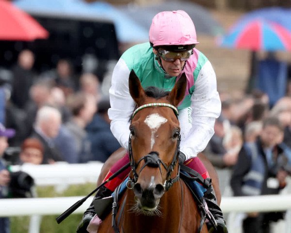 horse Arrest xx (Thoroughbred, 2020, from Frankel xx)