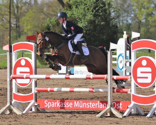 jumper Mary Poppins 69 (German Riding Pony, 2009, from Rednexx)