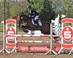 jumper Mary Poppins 69 (German Riding Pony, 2009, from Rednexx)