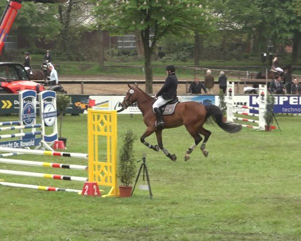 Reitturnier Meppen 2023