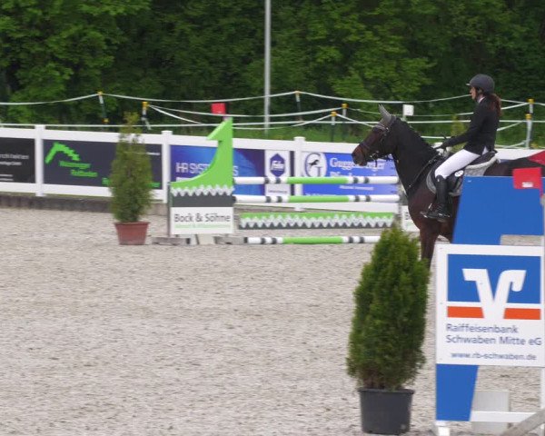 Reitturnier Babenhausen 2023
