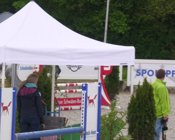 Reitturnier Babenhausen 2023