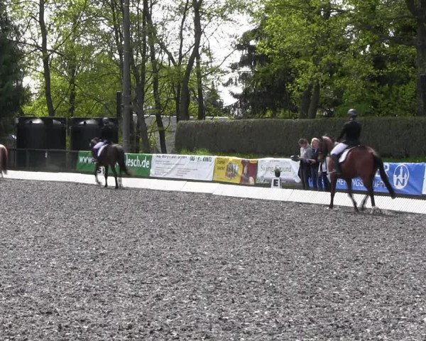 Reitturnier Röhrsdorf/ Chemnitz 2023