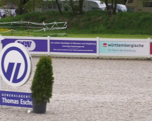 Reitturnier Babenhausen 2023
