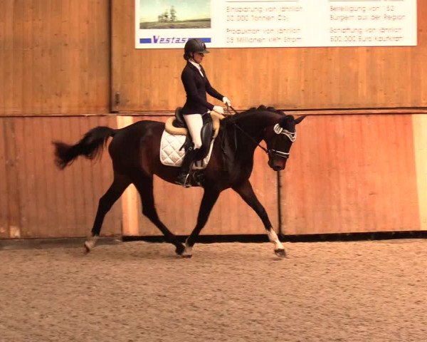 Reitturnier Risum-Lindholm 2023