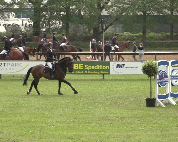 Reitturnier Meppen 2023