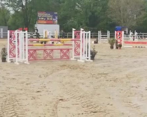 Video of Cornet's Lightning