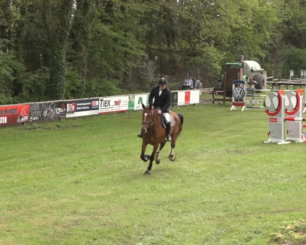 Reitturnier Meppen 2023