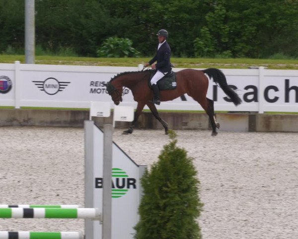 Reitturnier Babenhausen 2023