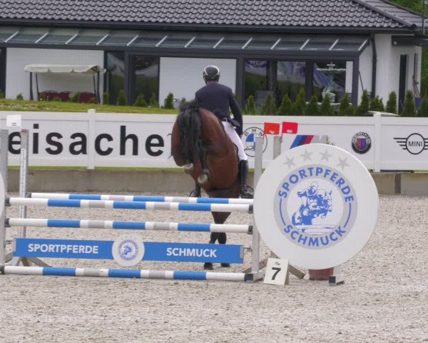 Reitturnier Babenhausen 2023