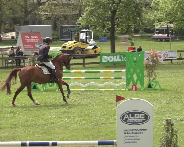 Reitturnier Meppen 2023