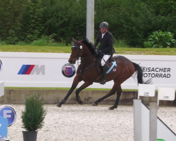 Reitturnier Babenhausen 2023