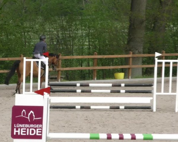 Reitturnier Alvern 2023
