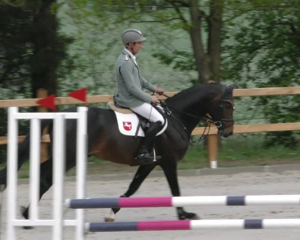 Reitturnier Alvern 2023
