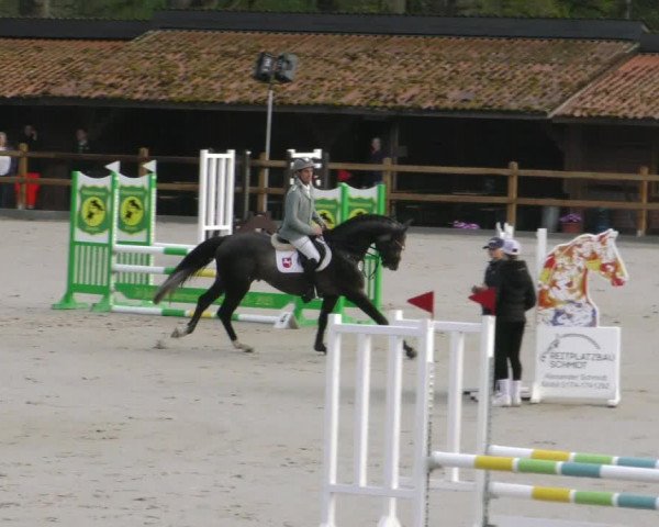 Reitturnier Alvern 2023